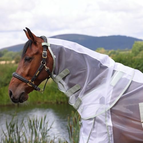 Shires Highlander Fine Mesh Horse Fly Sheet with Detachable Neck Set - White/Sage - Multiple Sizes 84" - size: 84"