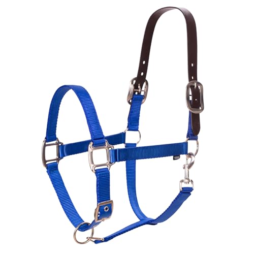 Equinavia Loki Adjustable Breakaway Horse Halter - Royal Blue - Cob - color: Royal Blue, size: Cob