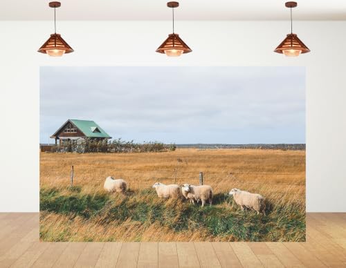 8x8ft Fabric Rural Grassland Sheep Backdrop Four Fluffy Wool Lamb Dark Wooden Cabin Overcast Sky Photography Background Tapestry Party Farm Country Decorations Photo Booth Props - size: 8x8ft