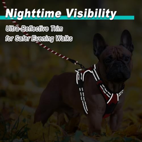 BARKBAY Dog Harness for Small Sized Dog No Pull 2 Leash Clips Dog Vest - color: Red, size: X-Small
