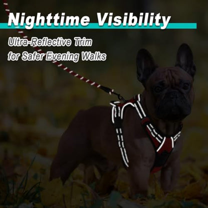 BARKBAY Dog Harness for Small Sized Dog No Pull 2 Leash Clips Dog Vest - color: Red, size: X-Small