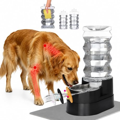 RIZZARI 8L Elevated Dog Water Dispenser: Large Dogs Senior Pets Filtered - color: Black, size: 8L