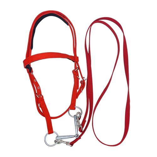 Draft Horse Bridle Anti-Tear Horse Riding Headstall | Equine Snaffle Noseband, Adjustable Soft Lined Equestrian Browband for Outdoor Use - size: Small