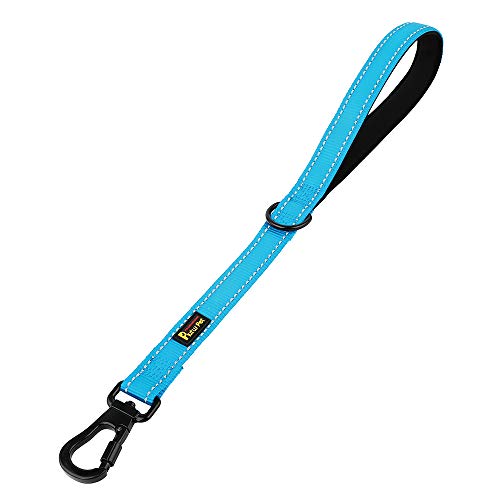 PLUTUS PET Short Training Dog Leash with Padded Handle for Medium Large Big Dogs,18 Inch Heavy Duty Strong Traffic Leash with Carabiner Clip for Climbing Walking or Guiding Blind（18”，Blue | Reflective, Heavy Duty Strong Nylon, Traffic Leash with Carabiner
