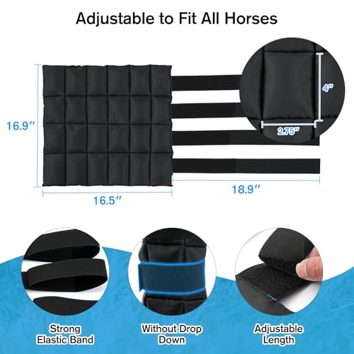 Ice Boots for Horses, Black & Blue, 2 Pack - size: 2Pack