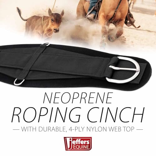 Jeffers Western Neoprene Roping Cinch for Horses, PVC Neoprene Horse Saddle Cinch, 4-Ply Nylon Web Top, Stainless Steel Hardware with Center Dee Rings, Western Horse Tack for Barrel Racing, 36" - size: 36"