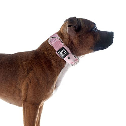 TSPRO Heavy Duty Thick Dog Collar with Metal Buckle for Small Dogs - color: Basic Pink, size: S – Fits Neck 12.6"-15.8"
