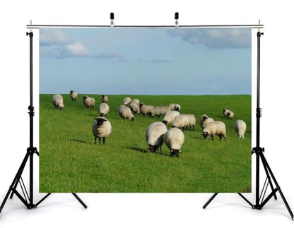 5x3ft Fabric Black Face Sheep Grassland Backdrop Flock Wool Ewes Lush Green Pasture Pale Cloud Sky Photography Background Tapestry Party Farm Rural Decorations Photo Booth Props - size: 5x3ft