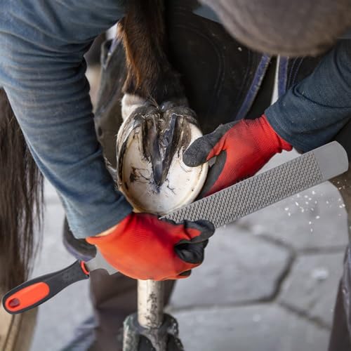 11pcs Farrier Tools Farrier kit Horse shoeing Tools Farrier Supplies Farrier Tools for Horses Cattle Sheep and Donkeys