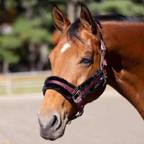 Equinavia Valkyrie Ultra Fleece Soft Padded Horse Halter Breakaway - color: Wine Red/Black, size: Cob