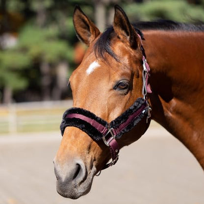 Equinavia Valkyrie Ultra Fleece Soft Padded Horse Halter Breakaway - color: Wine Red/Black, size: Cob