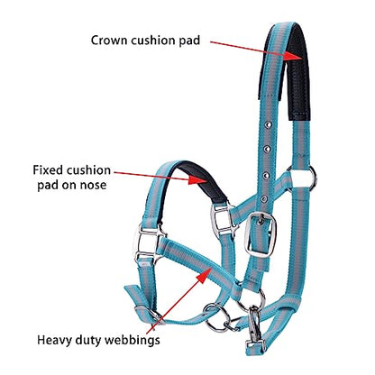 Adjustable Horse Halters - Heavy Duty Nylon Webbing & Hardware, Padded with Anti Chafing Foam-Cushioned on Crown & Nose - color: Light Blue, size: Cob