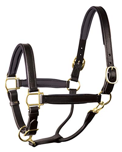 Perri's Horse Soft Padded Leather Halter - color: Black/Black/Brass