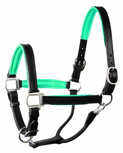 Perri's Soft Padded Leather Halter - color: Black/Turquoise, size: Cob