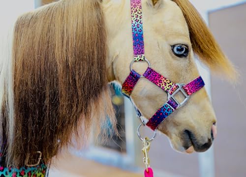 Star Point Horsemanship Rainbow Cheetah Halter - size: Medium Mini 28-32"