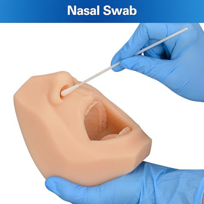 Nasal Swab Training Model, Throat and Oral Swab Collection Simulator, White - color: white
