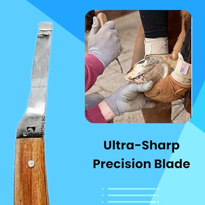 Hoof Knife with Narrow Single Sided Edge Right Hand Farrier Tool for Horses and Livestock – Premium Stainless Steel Hoof Trimming Knife with Ergonomic Contoured Handle for Better Grip - style: Narrow Blade - RH