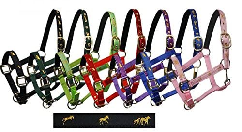 Adjustable Cob Size Neoprene Lined Nylon Halter w/Running Horse Overlay - color: Black
