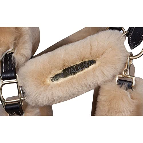 Billy Royal Scottsdale Padded 3/4 Leather Halter for Horses | Exceptional Comfort | Premium Grade A Leather | Adjustable Fit | Minimized Rubs | Enhanced Beauty - size: Cob