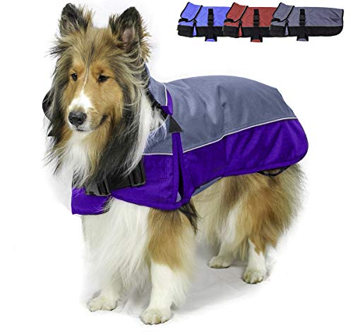 Derby Originals Safety Reflective 1200D Ripstop Waterproof Nylon Winter Dog Coat with Removable Neck Cover and Two Year Warranty - 220g Polyfil Insulation (26", Purple/Grey) - color: Charcoal/Purple, size: 26"