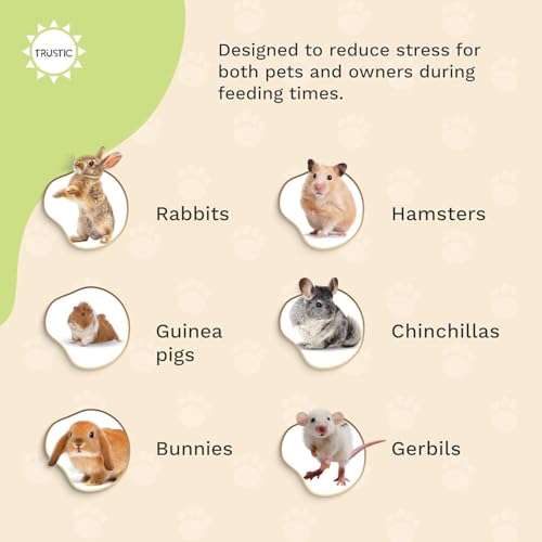 Hay and Food Feeder for Rabbit, Guinea Pig, Bunny, Chinchilla, Heavy Duty Metal Bin 5.5 x 5.5 x 7 inch (Pack of 2) - size: Pack of 2