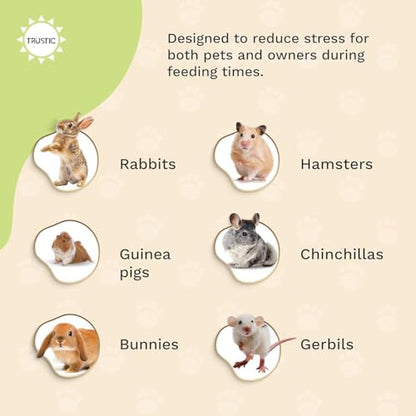 Hay and Food Feeder for Rabbit, Guinea Pig, Bunny, Chinchilla, Heavy Duty Metal Bin 5.5 x 5.5 x 7 inch (Pack of 2) - size: Pack of 2