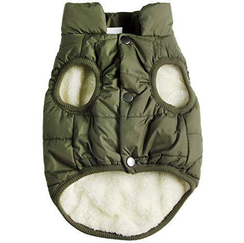 JoyDaog Fleece Lined Dog Jacket for Small Dogs,Winter Dog Coat,Green S - color: Green, size: Small
