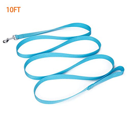 Strong Durable Nylon Dog Training Leash, 1 Inch Wide Traction Rope, 10 ft Long, for Small and Medium Dog (Mint Blue, 10 Feet) - color: Mint blue, size: 10 Feet
