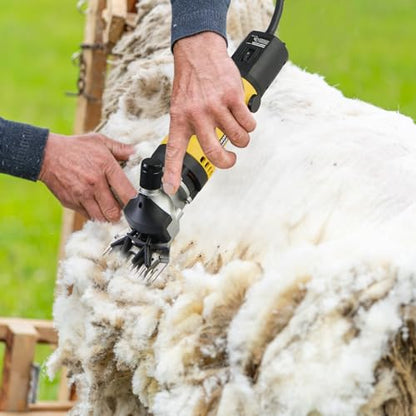 Johui Professional Electric Sheep Shears, 500W for Trimming and Grooming Sheep, Alpaca, Yak and Long-haired Animals, 2 Sets of Blades, 6 Speeds and 2600 RPM