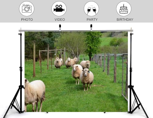 10x8ft Fabric Wool Sheep Herd Backdrop Fluffy White Ewe Lush Green Pasture Wire Fence Spring Tree Photography Background Tapestry Farm Wildlife Animal Decorations Photo Booth Props - size: 10x8ft