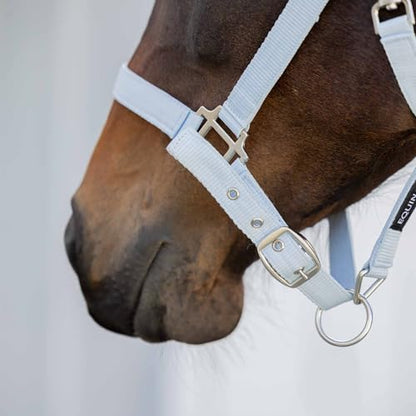 Equinavia Loki Adjustable Breakaway Horse Halter - Sweet Blue - Cob - color: Sweet Blue, size: Cob