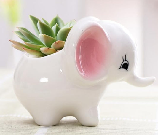 Cute Ceramic Succulent Elephant Garden Pots w/Pottery Quality Finish, Cute Planting Pot, Indoor Plant Pot for Flowers & Herbs，Home Desktop Office Windowsill Decoration Gift. - color: Color 2