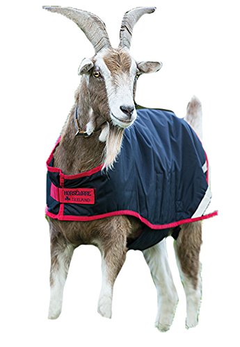 Horseware Goat Coat - Navy, X-Small - color: Navy, size: Extra Small