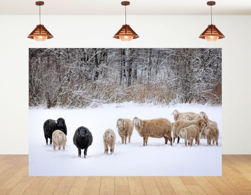 4x4ft Fabric Fabric Winter Snow Sheep Backdrop Mixed Black White Wool Flock Snow Covered Wood White Ground Photography Background Tapestry Party Farm Decorations Banner Photo Booth Props - size: 4x4ft