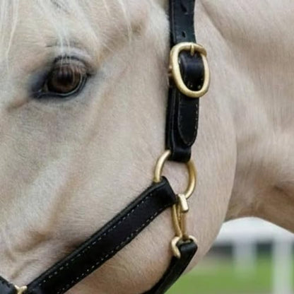 Genuine Leather Horse Halter – Padded Crown, Brass Hardware
