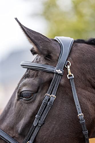LeMieux Kudos Work Bridle - color: Black, size: Cob