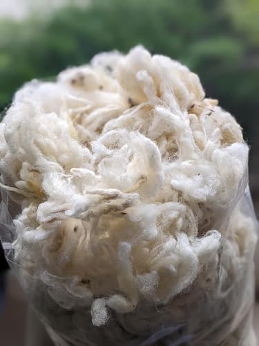 1 Lb raw Wool Sheep Washed w/Debris,Natural Wool for Stuffing Animals, Crafts, Cushions, Pillow Filler, Needle Felting Spinning.School Projects