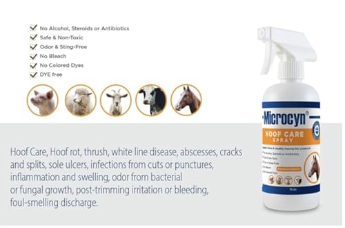Microcyn Livestock Hoof Care Spray – 16 oz HOCl-Based Hoof Cleanser – Supports Healthy Hoof Condition & Moisture Balance – For Horses, Ponies, Donkeys & Farm Animals.