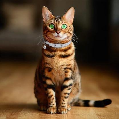 OOPSDOGGY Rolled Leather Cat Collar with Bell, Reflective Kitten Collars with Buckle Include Safety Elastic Strap - Adjustable Small Pet Collars for Boy Girl Cats (White) - color: White