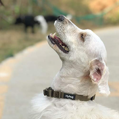 Hyhug Martingale Collar for Dogs Small Green |Escape - Proof Heavy Duty Nylon Durable No Buckle, Ideal for Training & Daily Walks | Heavy-duty nylon delivers gentle control for puppies. Ideal for training and park walks. Adjustable, comfortable, and secur