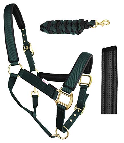 Nylon Horse Neoprene Padded Halter Brass Hardware Horse Tack Equine 606173 - color: Hunter Green