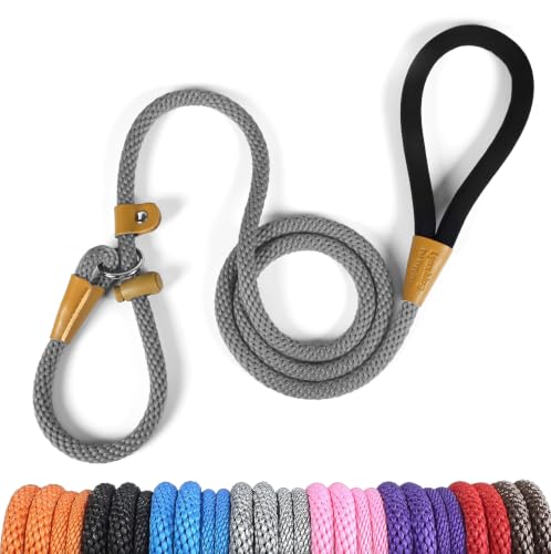 Dog Leash Slip Lead Braided Rope Pet Training Loop Leashes 5ft 6ft 8ft - color: Grey