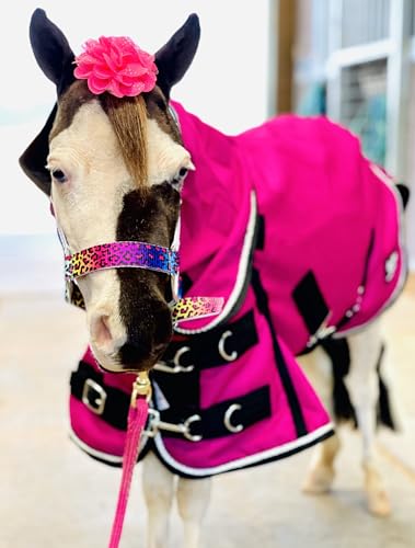 Mini-Pony Horse Ripstop Waterproof Windproof Blanket Hooded Lightweight Turnout Rain Sheet Breathable Lining 1200 Denier Material 350 Fill (46-48", Raspberry) - color: Raspberry, size: 46-48"