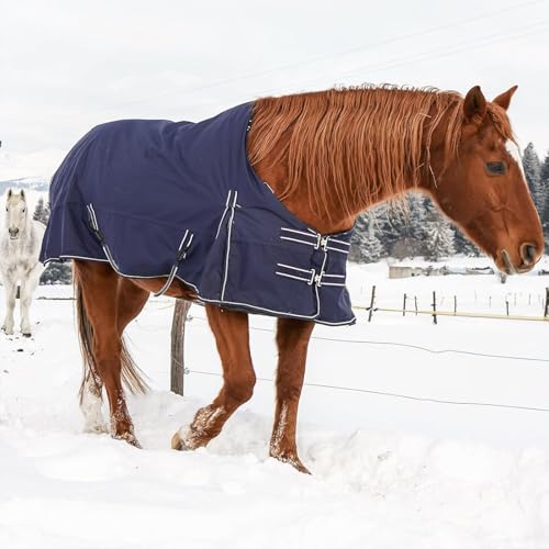 4PCS Elastic Horse Blanket Straps Adjustable Length 21-28 inch | Elastic Tail Strap with Double-Ended Clips, Elastic Legs Strap for Horse Blankets, Strong & Flexible Materials, PVC Tube