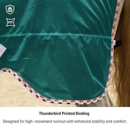 BARN & STABLE Breathable and UV Protective Tear-Resistant Mesh Horse Fly Sheet Comfy Equine Summer Sheet with Removable Web Leg Straps - color: EverGreen, size: 81 in