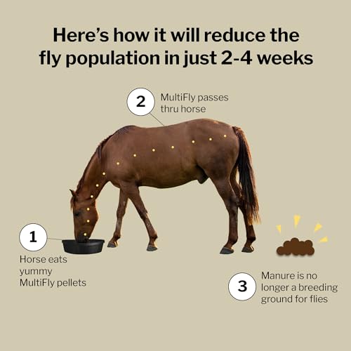 Formula 707 MultiFly Feed-Thru Fly Control Pellets for Horses - Palatable & Safe Fly Population Reduction (10 lb Bag - 182 Servings) - size: 10 lb Bag