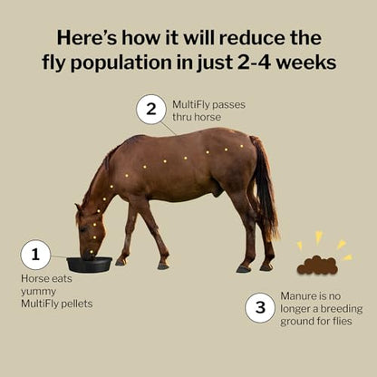 Formula 707 MultiFly Feed-Thru Fly Control Pellets for Horses - Palatable & Safe Fly Population Reduction (10 lb Bag - 182 Servings) - size: 10 lb Bag