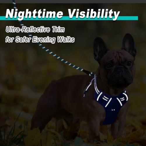 BARKBAY Dog Harness for Small Sized Dog No Pull Mesh 2 Clips Dog Vest - color: Sapphire Blue-Mesh, size: X-Small