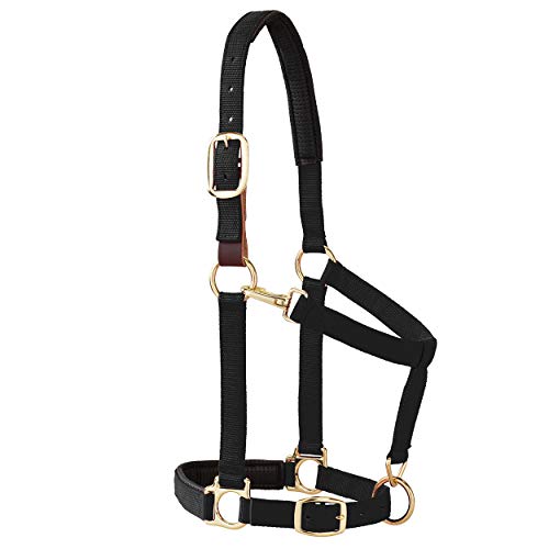 Weaver Equine Breakaway Horse Halter, Comfort Foam Padding, Adjustable Chin & Throat Snap Halters for Horses, Equine Tack,Average Size - color: Black
