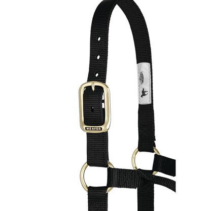 Weaver Leather Original Non-Adjustable Nylon Horse Halter, Black, Yearling
